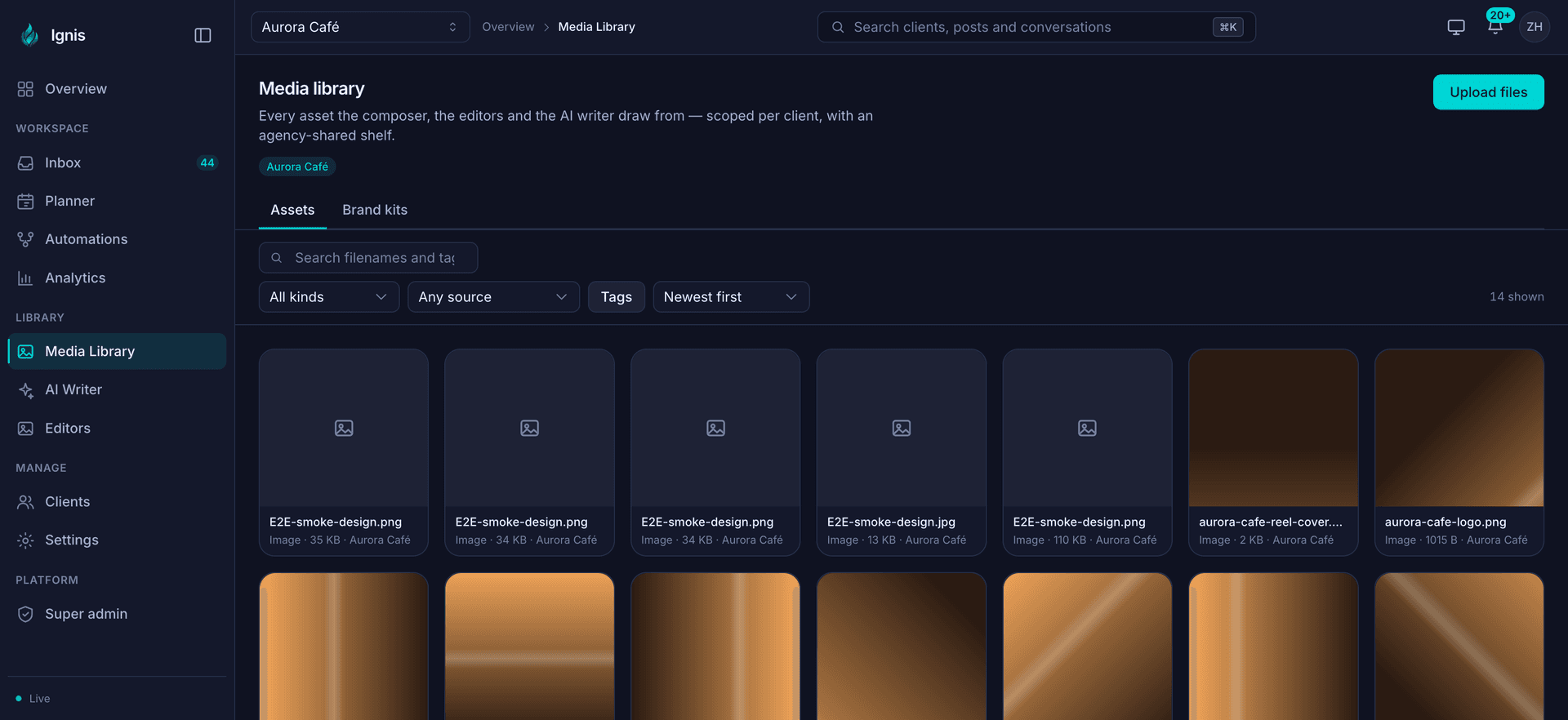 The Ignis media library: one client’s grid of images and videos, with filters for kind, source and tags, and a brand kits tab.